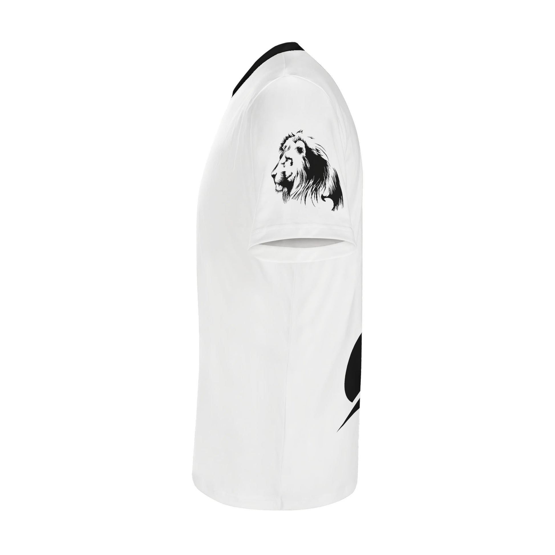 filename-1771454085-6-wlfiSDF381