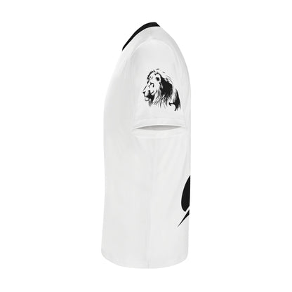 filename-1771454085-6-wlfiSDF381